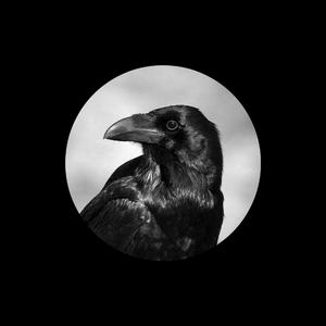 女同炒菜在线看
