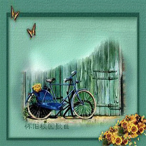 女同炒菜在线看
