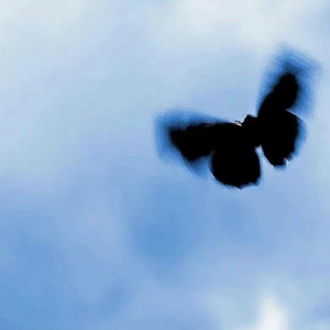 女同炒菜在线看
