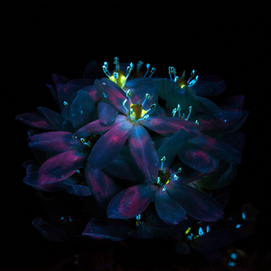 女同炒菜在线看
